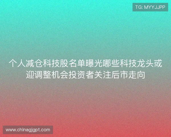 个人减仓科技股名单曝光哪些科技龙头或迎调整机会投资者关注后市走向